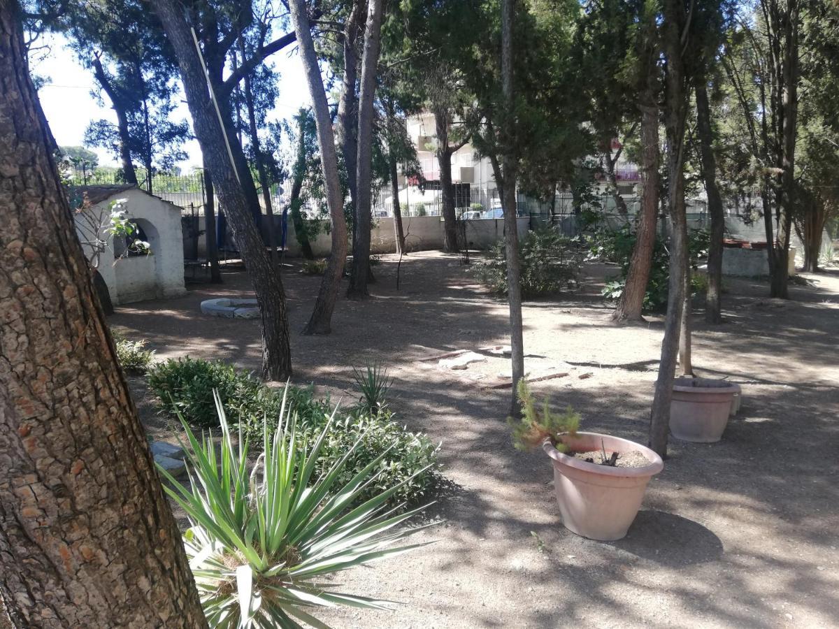Wild Paradise Canosa di Puglia Eksteriør bilde